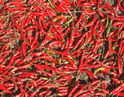 [Red Peppers]